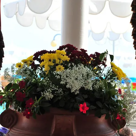 酒店 贝尼酒店 3*